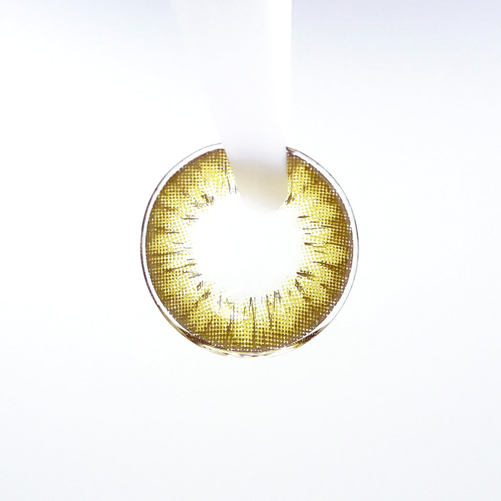 遠視用 ハニーアンバー・Honey Amber |F1268