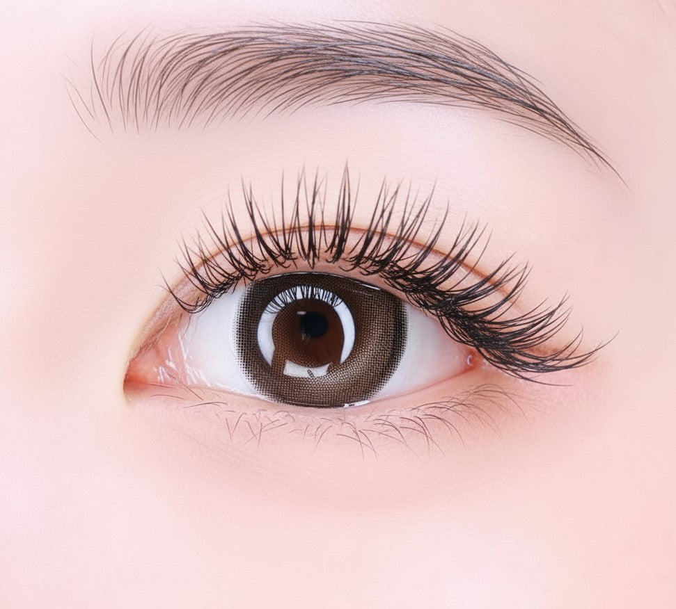 乱視用 アッシュブラウニー  ・Ash Brownie   ｜ M1698