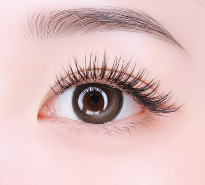 乱視用 アッシュブラウニー  ・Ash Brownie   ｜ M1698