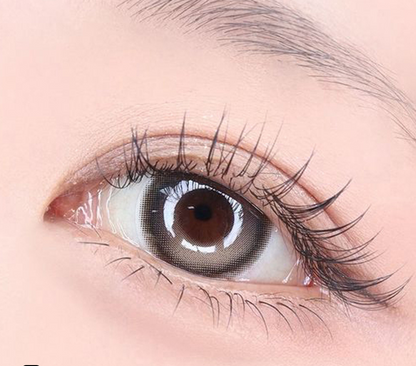 乱視用 ラテグレージュ  ・Latte Greige      ｜ M1726