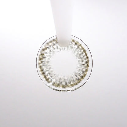 乱視用 シルバーガナッシュ ・ Silver Ganache   ｜ M1804