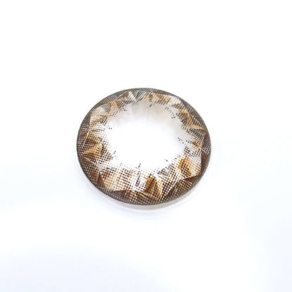 遠視用 サファイアロイヤルブラウン ・Sapphire Royal Brown｜F428