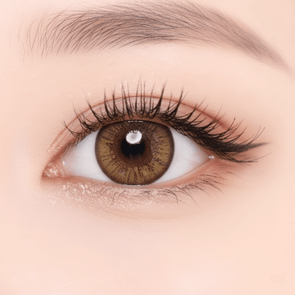 乱視用アンバーフレイム ・Amber Flame｜M827 - Japan colored contactsDUEBA(N) BT toric Brown /827