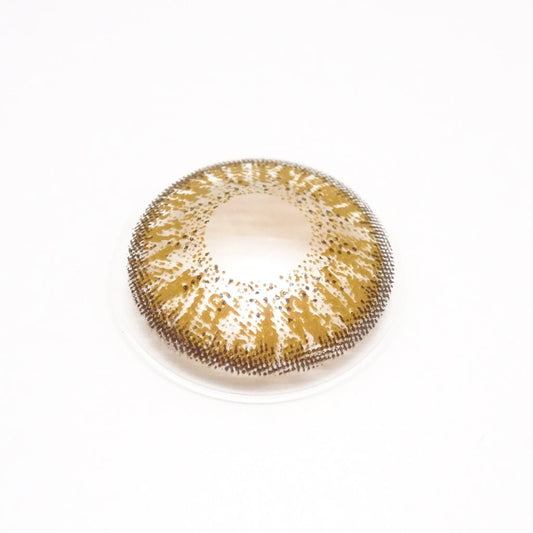 乱視用アンバーフレイム ・Amber Flame｜M827 - Japan colored contactsDUEBA(N) BT toric Brown /827