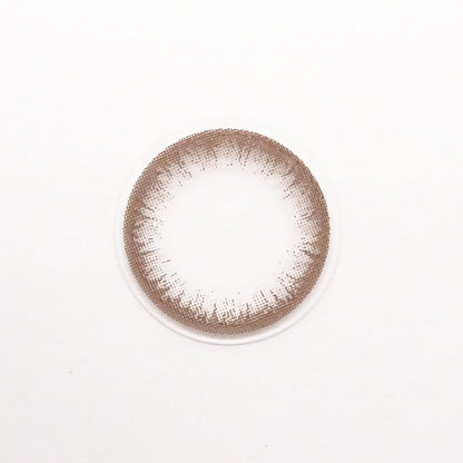 乱視用 アッシュグレージュ・Ash Greige ｜M1278 - My ToricBS(N) / JeJe -S Brownblack toric /1278