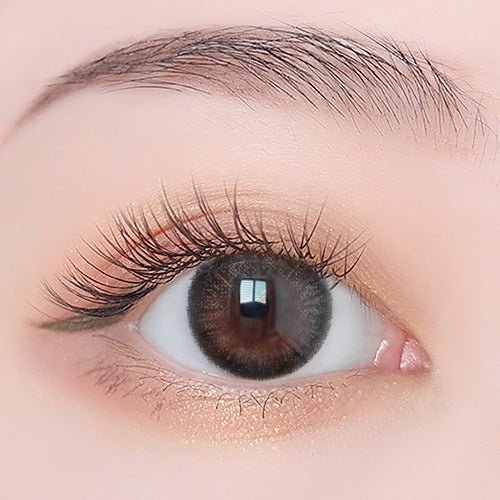 乱視用アッシュブルーム・Ashy Bloom｜M928 - Japan colored contactsBS(N) B312 brown  /928