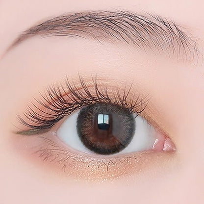 乱視用アッシュブルーム・Ashy Bloom｜M928 - Japan colored contactsBS(N) B312 brown  /928