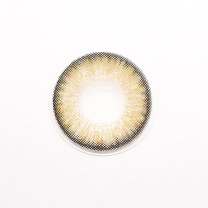 乱視用 キャラメルシフォン・ Caramel Chiffon ｜ M1626 - My ToricNEOVISION(N) 3T Brown/1626