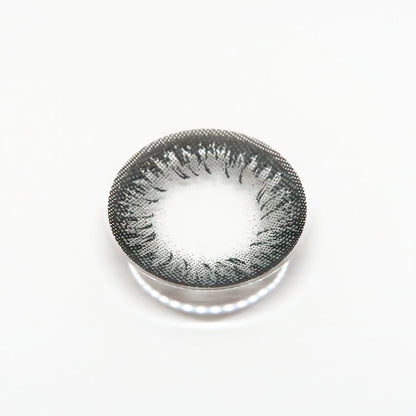 乱視用 チャコールドール・ Charcoal Doll｜ M1624 - Japan colored contactsNEOVISION(N) DALI Extra Ⅱ GRAY 난시용/ 1624