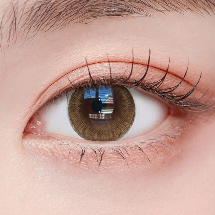 乱視用 シフォンチョコ・Chiffon Choco ｜M1436 - My ToricDMAXLOOK(N) SCL 25  Brown Toric  /1436