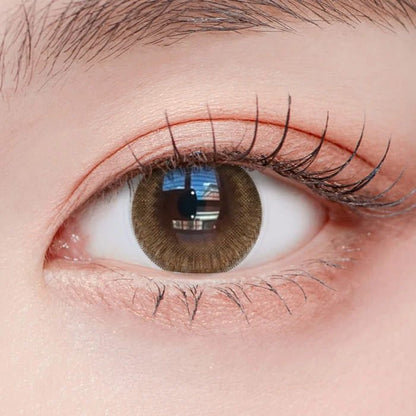 乱視用 シフォンチョコ・Chiffon Choco ｜M1436 - My ToricDMAXLOOK(N) SCL 25  Brown Toric  /1436