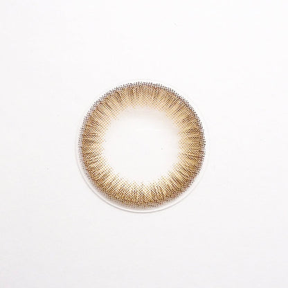 乱視用 シフォンチョコ・Chiffon Choco ｜M1436 - My ToricDMAXLOOK(N) SCL 25  Brown Toric  /1436