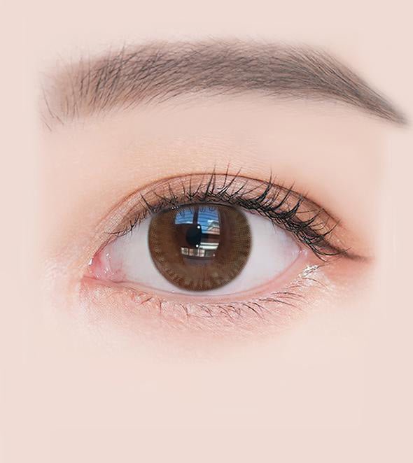 乱視用 チョコタルト・Choco Tart ｜M1437 - My ToricDMAXLOOK(N) SCL  23  Brown  toric /1437