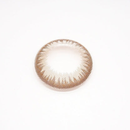 乱視用 チョコタルト・Choco Tart ｜M1437 - My ToricDMAXLOOK(N) SCL  23  Brown  toric /1437