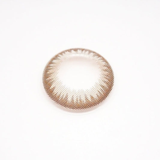 乱視用 チョコタルト・Choco Tart ｜M1437 - My ToricDMAXLOOK(N) SCL  23  Brown  toric /1437