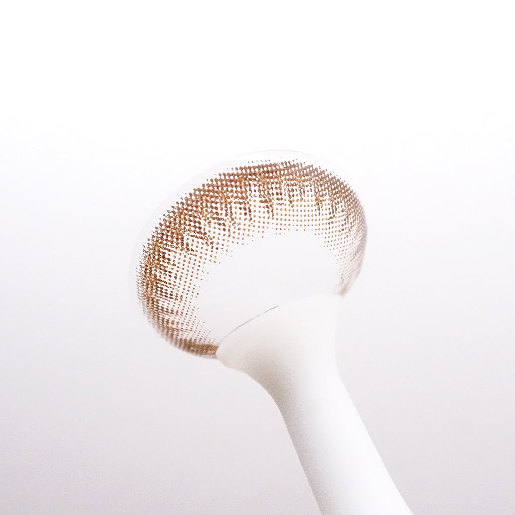 乱視用 チョコタルト・Choco Tart ｜M1437 - My ToricDMAXLOOK(N) SCL  23  Brown  toric /1437