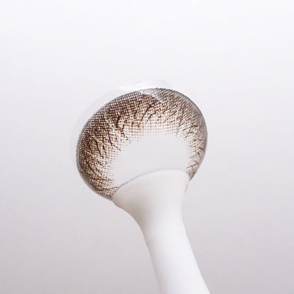 乱視用 ココアタルト・Cocoa Tart｜M1241 - Japan colored contactsBS(N) B312 brown  /928