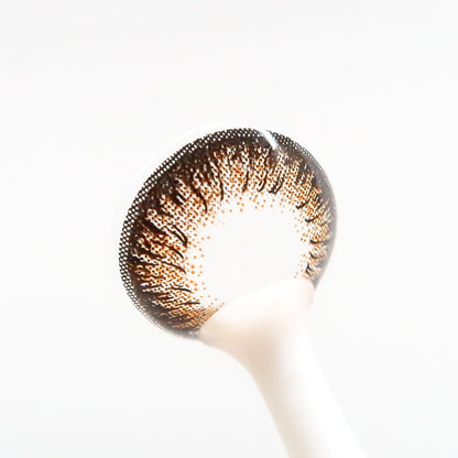 乱視用 エスプレッソタルト・Espresso Tart ｜ M1623 - My ToricNEOVISION(N) DALI Extra Ⅱ BROWN 난시용/ 1623