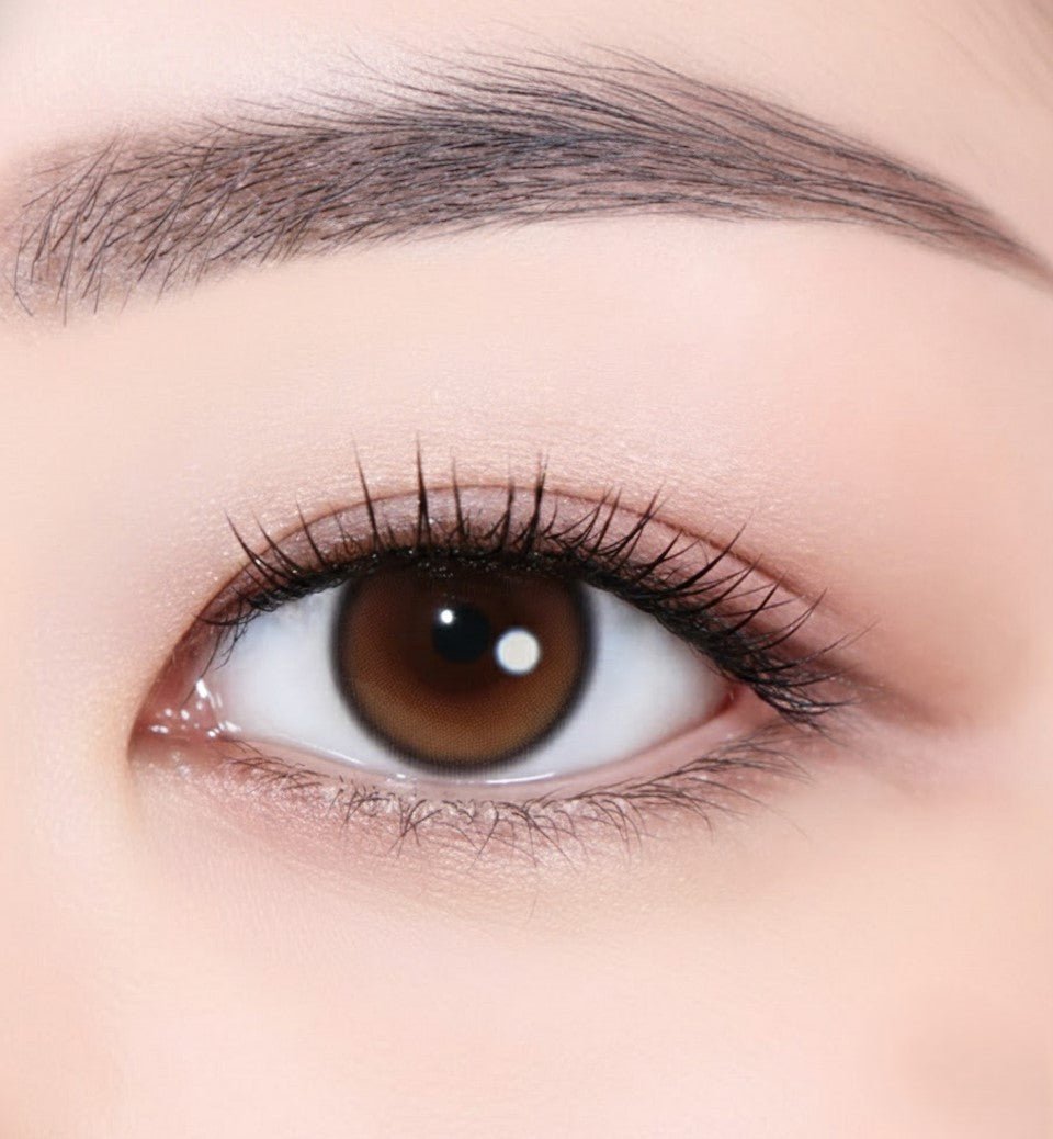 乱視用 グレージュムース ・Greige Mousse ｜ M1794 - My ToricDILEN (N)  E065 Brown toric / 1794