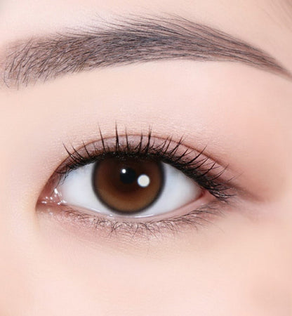 乱視用 グレージュムース ・Greige Mousse ｜ M1794 - My ToricDILEN (N)  E065 Brown toric / 1794