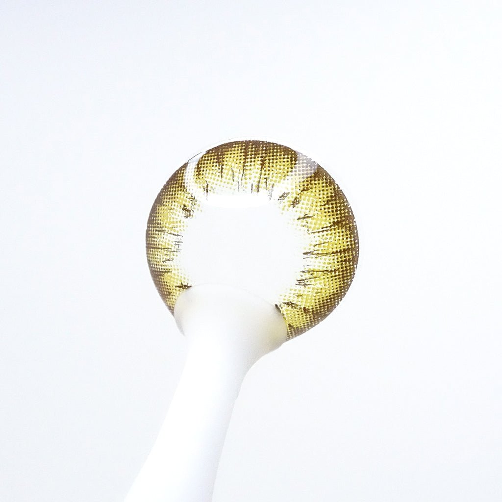 遠視用 ハニーアンバー・Honey Amber ｜F1268 - My ToricBS(N) / A132 Brown toric 원시용 /1268