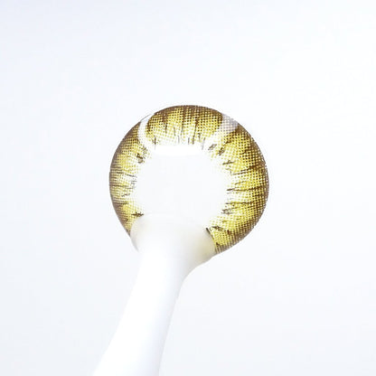 遠視用 ハニーアンバー・Honey Amber ｜F1268 - My ToricBS(N) / A132 Brown toric 원시용 /1268
