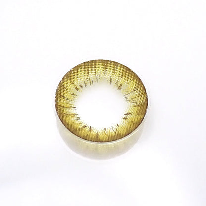 遠視用 ハニーアンバー・Honey Amber ｜F1268 - My ToricBS(N) / A132 Brown toric 원시용 /1268
