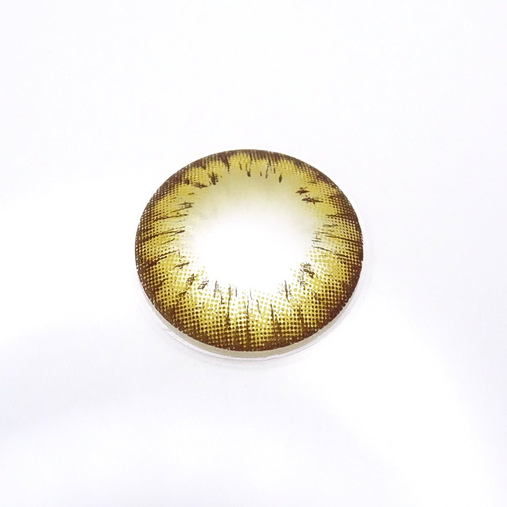遠視用 ハニーアンバー・Honey Amber ｜F1268 - My ToricBS(N) / A132 Brown toric 원시용 /1268