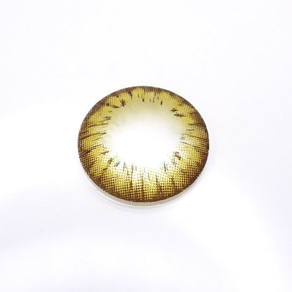 遠視用 ハニーアンバー・Honey Amber ｜F1268 - My ToricBS(N) / A132 Brown toric 원시용 /1268