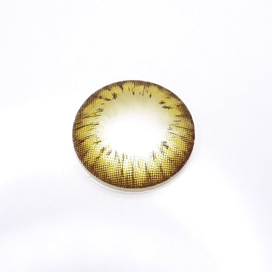 遠視用 ハニーアンバー・Honey Amber ｜F1268 - My ToricBS(N) / A132 Brown toric 원시용 /1268