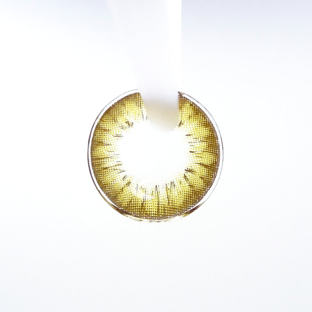 遠視用 ハニーアンバー・Honey Amber ｜F1268 - My ToricBS(N) / A132 Brown toric 원시용 /1268