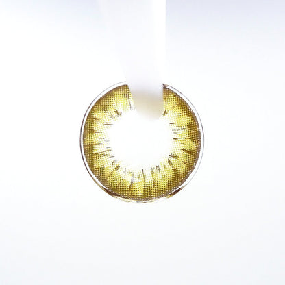 遠視用 ハニーアンバー・Honey Amber ｜F1268 - My ToricBS(N) / A132 Brown toric 원시용 /1268
