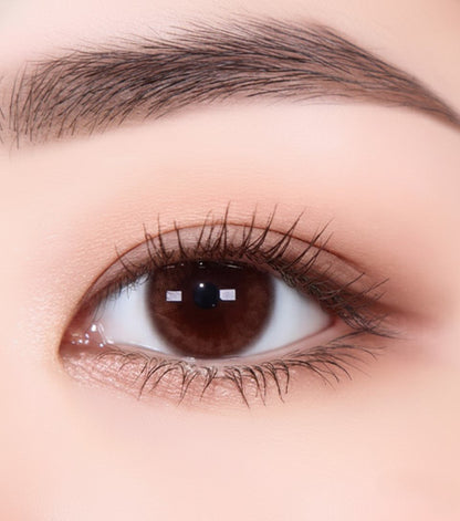 乱視用 ハニーサン ・Honey Sun ｜ M1797 - My ToricDILEN (N) E070 Brown Toric [1797]