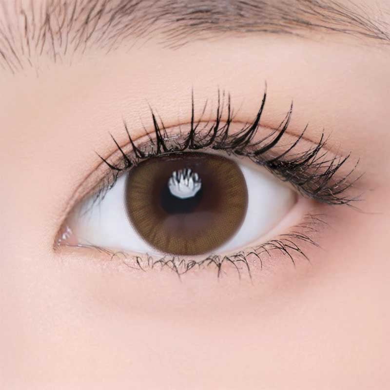 乱視用 ヒューブラウン ・Hue Brown｜ M292 - Japan colored contactsNEOVISION(N) MONET BROWN 난시용 /292