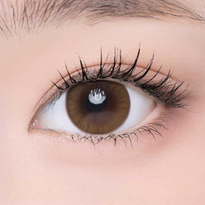 乱視用 ヒューブラウン ・Hue Brown｜ M292 - Japan colored contactsNEOVISION(N) MONET BROWN 난시용 /292