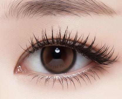 乱視用 アイボリームース ・Ivory Mousse ｜ M1891 - My ToricDILEN (N)  F045  Brown toric / 1891