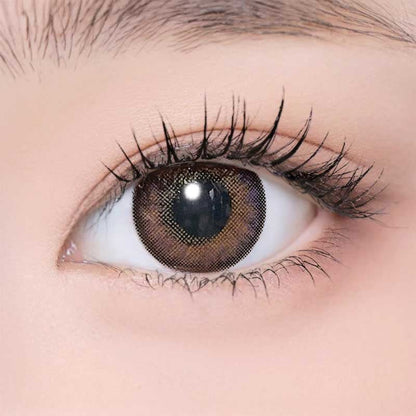 遠視用 ライラックシフォン・ Lilac Chiffon ｜ F1629 - My ToricNEOVISION(N) 3T Violet 원시용/1629