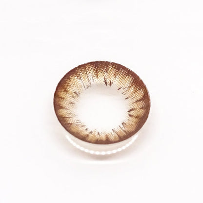 乱視用 メープルチョコ・Maple Choco ｜M1270 - Japan colored contactsBS(N) / A132 Choco toric /1270