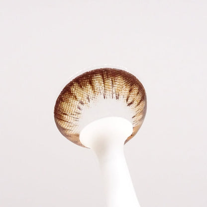 乱視用 メープルチョコ・Maple Choco ｜M1270 - Japan colored contactsBS(N) / A132 Choco toric /1270