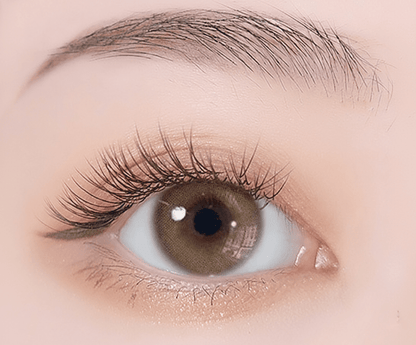 乱視用 メロウバター・Mellow Butter ｜M1533 - My ToricBS(N) E102 BROWN1 /1533