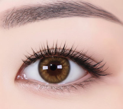 乱視用 メロウヘーゼル ・ Mellow Hazel ｜ M1692 - My ToricDILEN (N)  D027 Brown Toric /1692