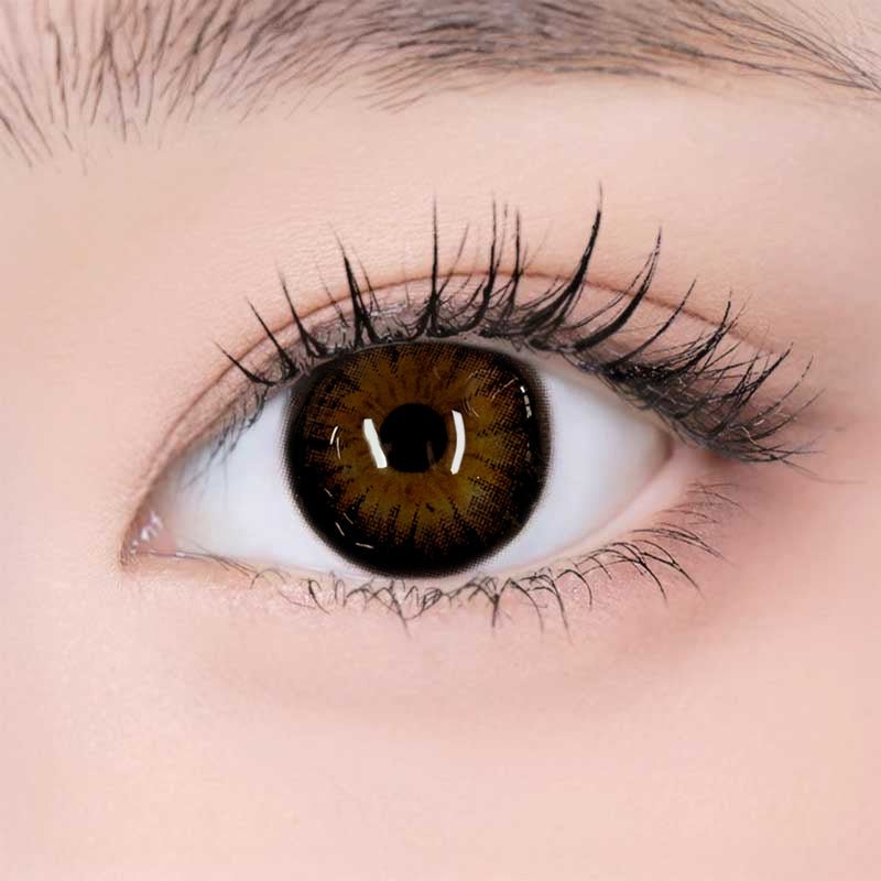乱視用メルティチョコ ・Melty Choco｜ M524 - Japan colored contactsBS(N) CIRCLE COLOR BROWN /524