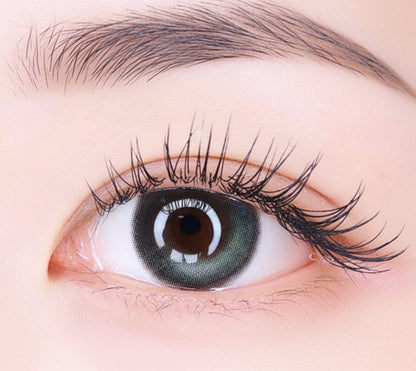 乱視用 オリーブアッシュ ・Olive Ash ｜ M1725 - My ToricDILEN (N) D127 Gray Toric /1725