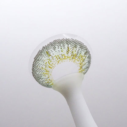 乱視用 ピスタチオタルト・Pistachio Tart ｜M1426 - My ToricBS(N) / OCHO GREEN toric / 1426