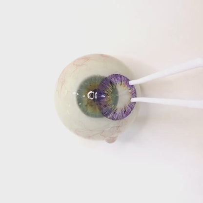 乱視用 ラベンダーシロップ ・Lavender Syrup        ｜M1292