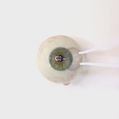 乱視用 ユニコーンティア ・Unicorn Tear   ｜ M1697