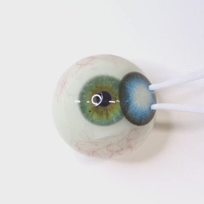 遠視用 ピュアヴェールブルー・Pure Vail Blue｜ F290