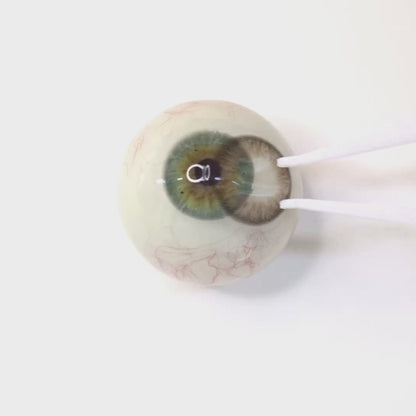 乱視用 チョコフォンデュ ・ Choco Fondue    ｜ M1805