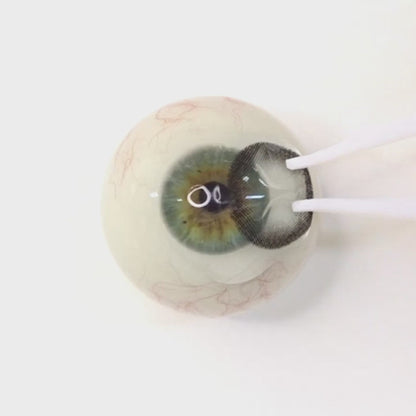 遠視用 フォギーアッシュ ・Foggy Ash  ｜  F1600