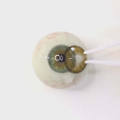 遠視用アンバーフレイム ・Amber Flame｜F827